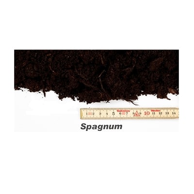 Spagnum 0,5 m3